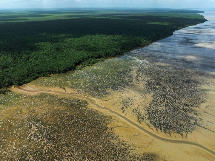 Petrobras descobre pela 1ª vez sinais de petróleo ou gás natural na Foz do Amazonas